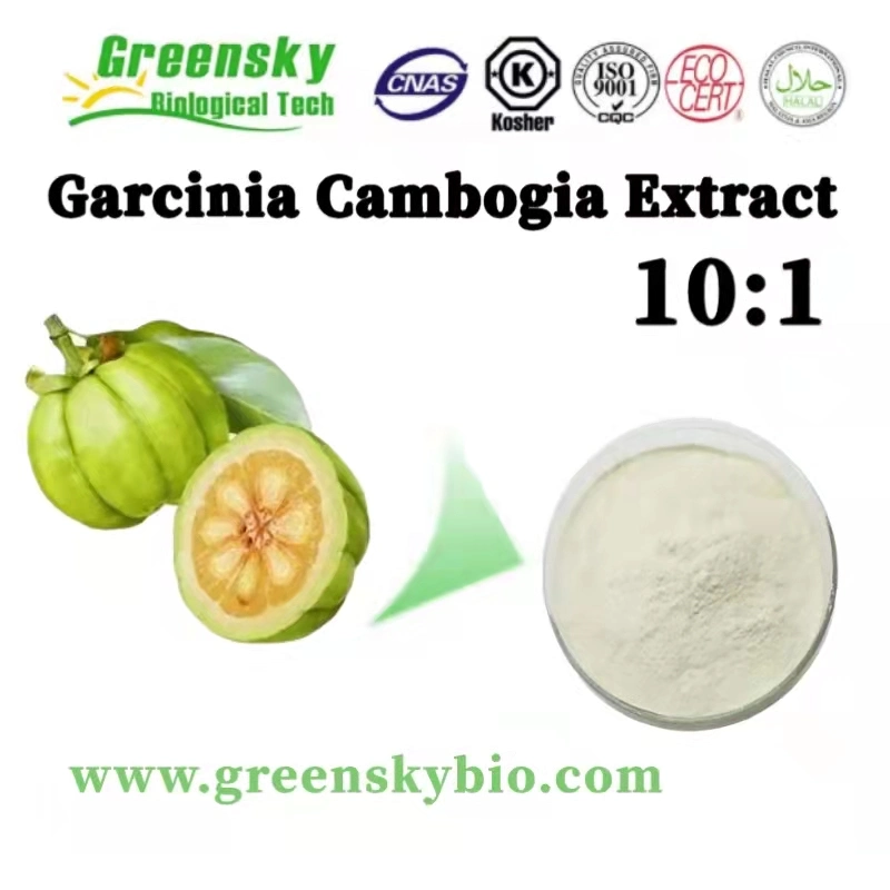Pflanzenextrakt Kräuterextrat raffinierte Extraktion Garcinia Cambogia Extrakt 10: 1 off White Powder Reich an Aminosäuren Nahrungsfaser Gewichtsverlust