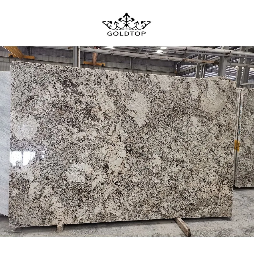 Natural Stone Slab Cut to Size Countertop Bar Counter Tabletop Washbasin Island Bathroom Vanity Deep Color Polished Granite