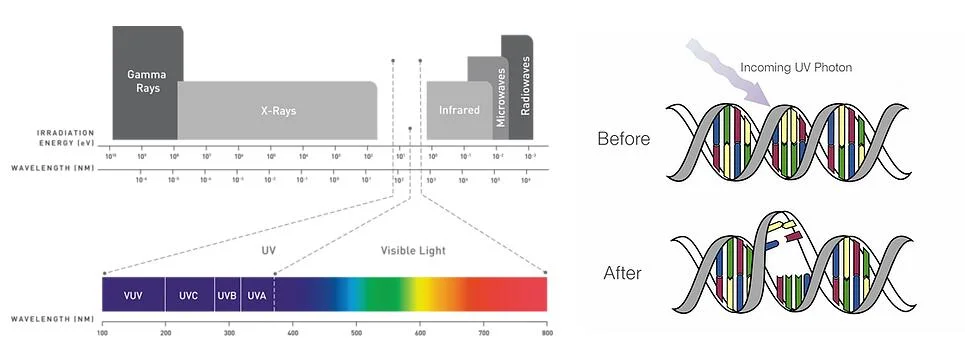 4040 LED UVC LED for Closed Loop Water Fountain