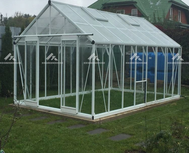 8X20 Walk in Greenhouse Алюминиевый поликарбонат тепличного парного зимы зеленый контейнер Дом для томатов