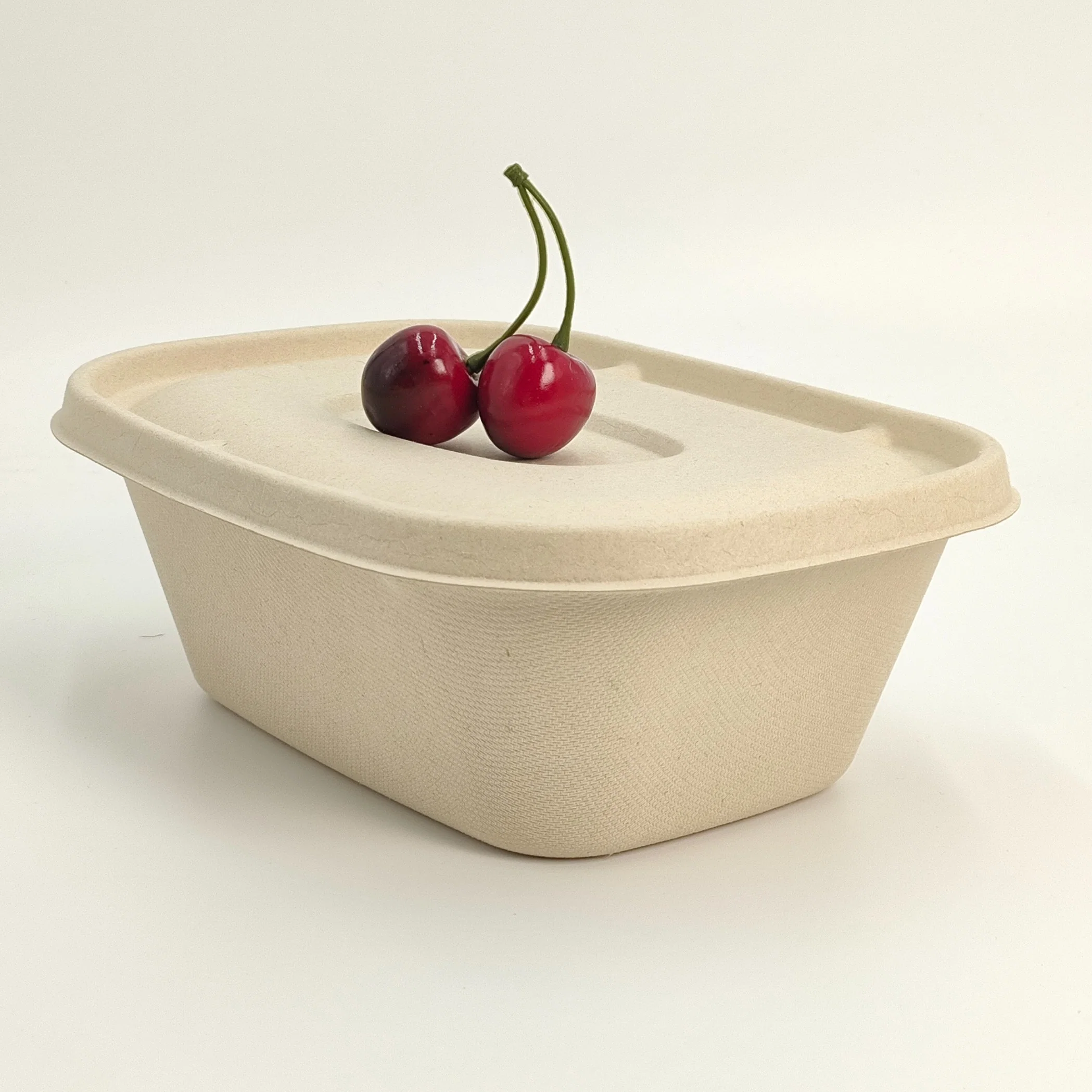 Biodegradable to Go Packaging Sugarcane Bagasse Pulp Takeaway Fast Food Conatiner Salad Box