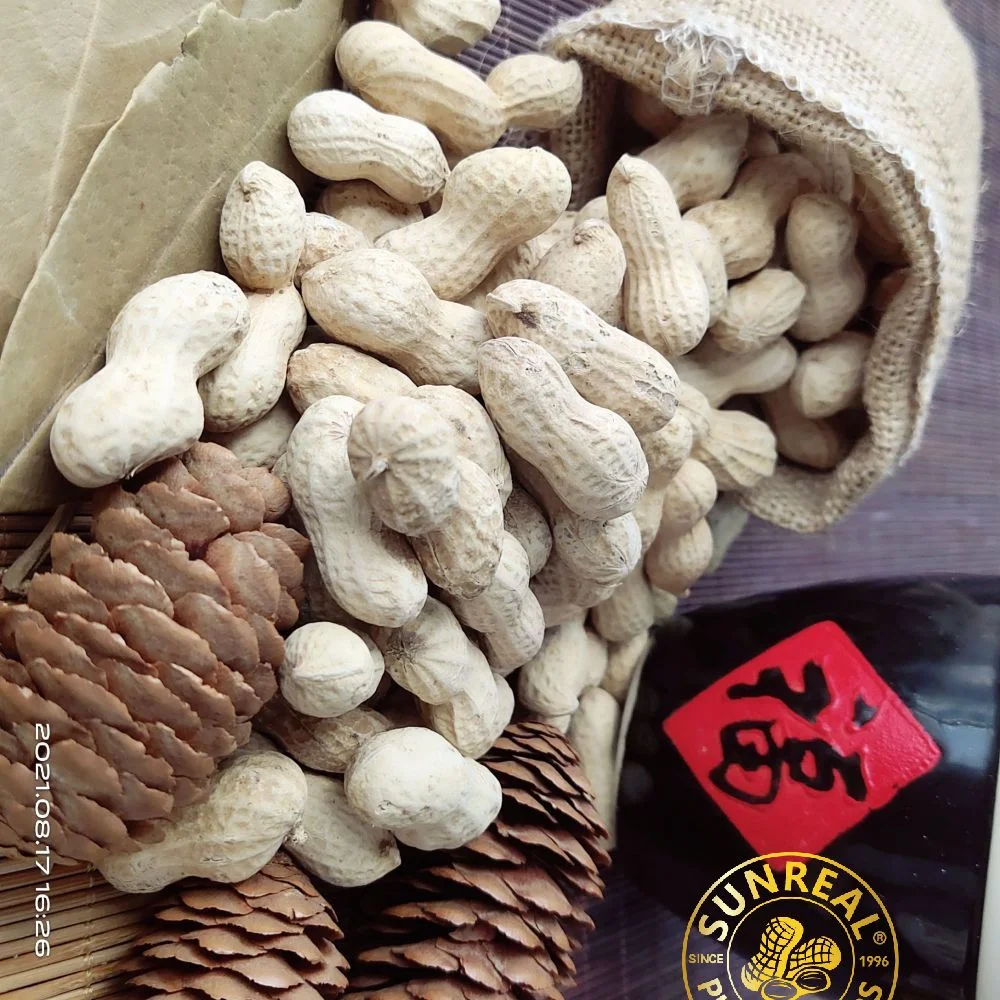 China Roasted Java Peanuts in Shell/Bold Peanut in Shell/Crispy 40/50 Good Taste