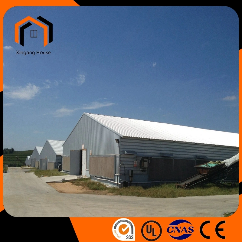 High quality/High cost performance  Sandwich Panel Color Tile Structural Steel Fabrication Egg Layer Farm House