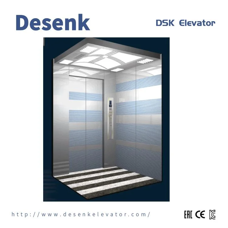 DSK Passenger Elevator Home Elevator Lifts Elevator Parts For Commercial Building Elevator Used