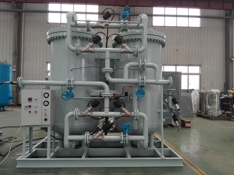 High Purity Nitrogen Equipment Psa Nitrogen Gas Generator Price for Food Package