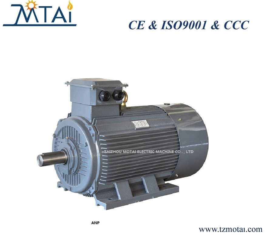 ANP250~ANP355 ANP Series Gost-Standard Three Phase Motor75KW-160KW