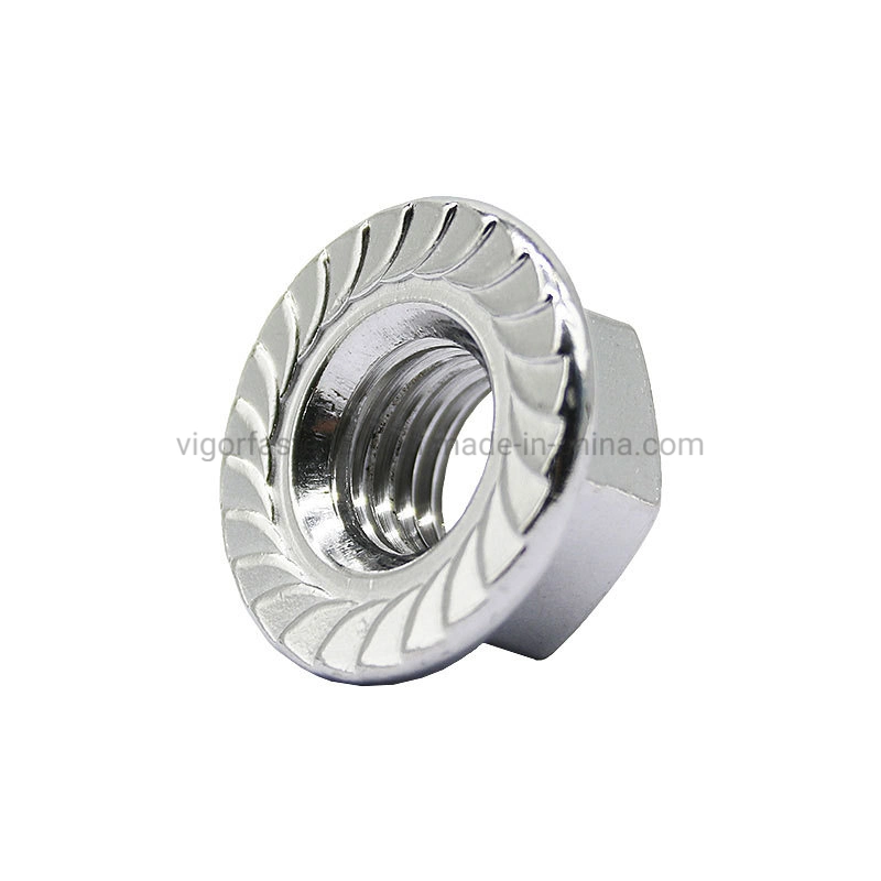 Auto Parts Stainless Steel/Carbon Steel Hex Flange Nuts for Motorcycle Accessories