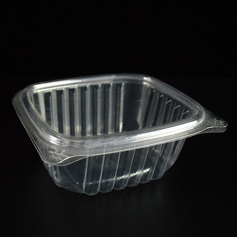 Disposable Clear Transparent Rectangle Plastic Box for Fruit and Vegetablesp Tray Package Box