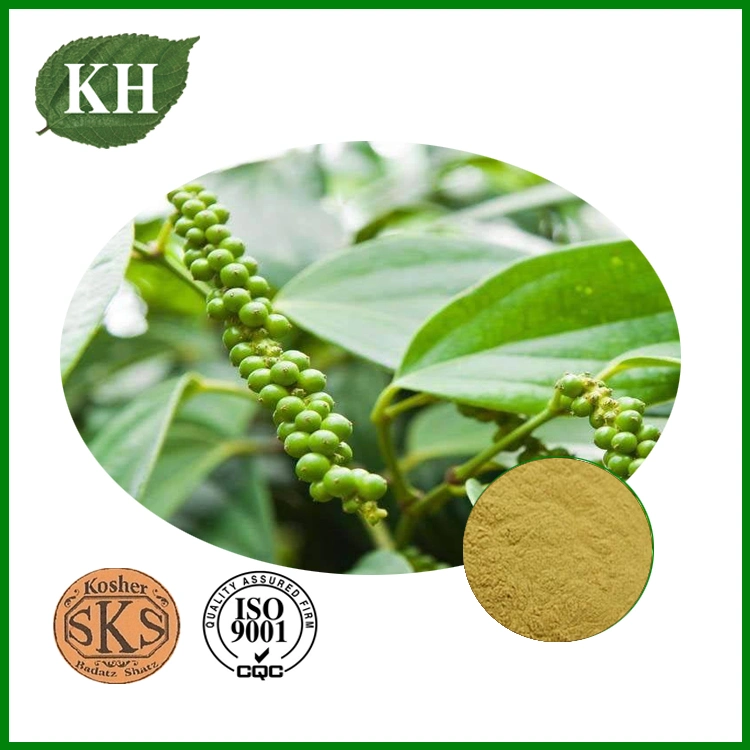 Top Quality & Natural Black Pepper Extract (5%-98% Piperine)
