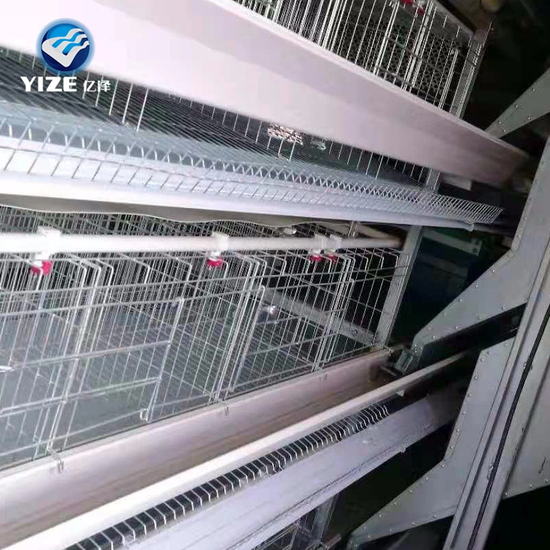 Chicken Layer Cage Geflügel Equipment China Factory Manufacture Heißen Verkauf Manuelle Fütterung Im Betrieb