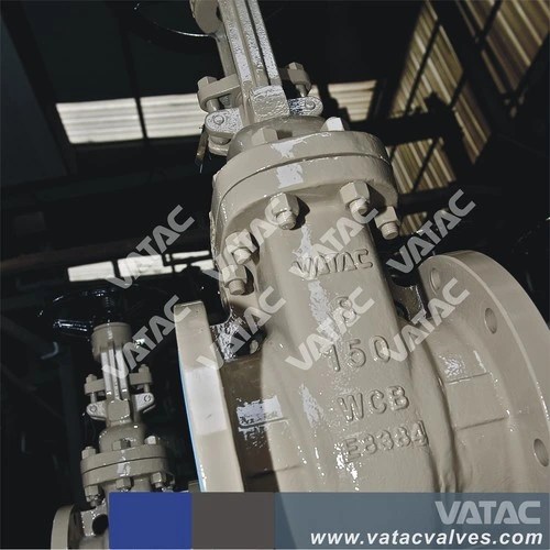 Vatac Wcb/Ss304/Ss316cast Steel Gate Valve with RF/Rtj