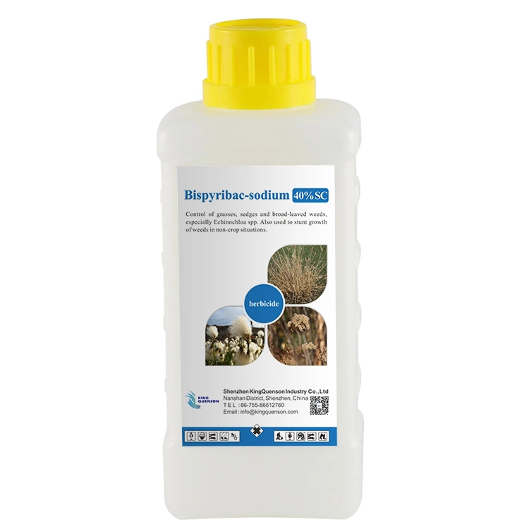 16 Years Weedicide Manufacturer Bispyribac-Sodium 20% Wp Price