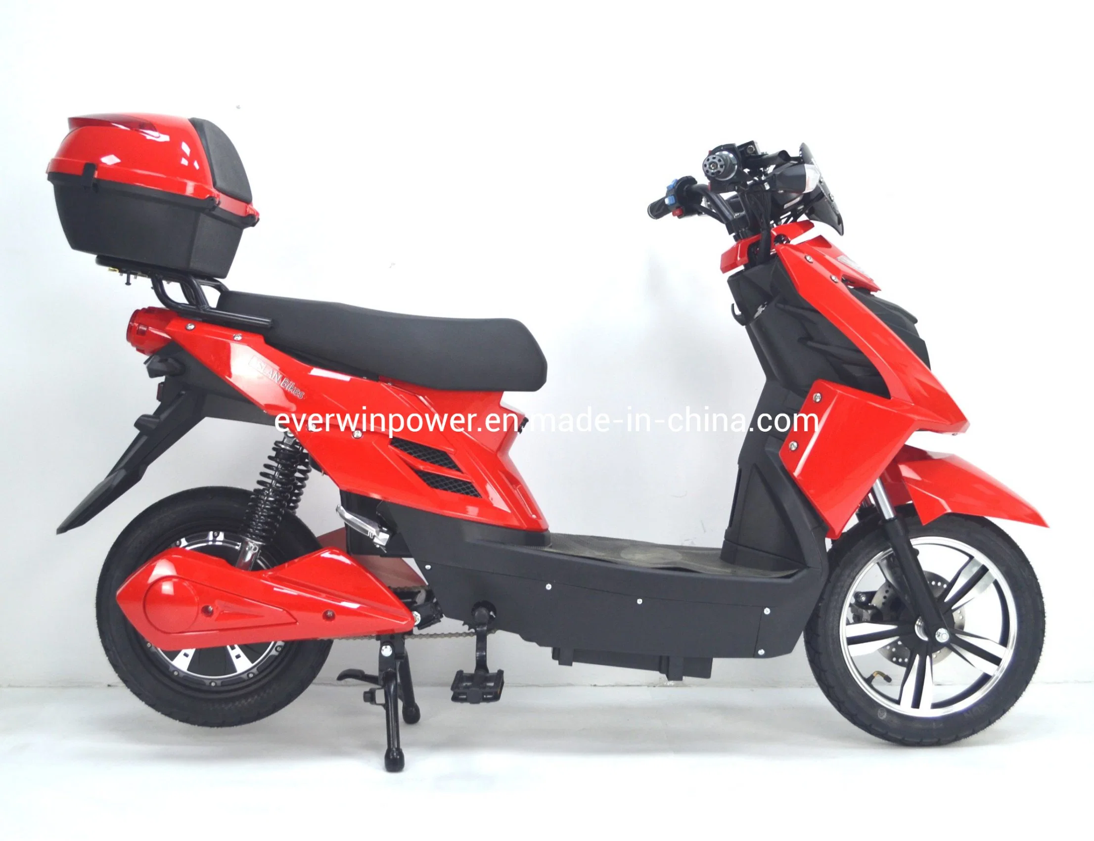 250W 600W Electric Bicycle with Pedal EEC (L1e-A) CE for Europe Market