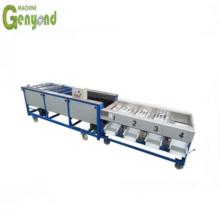 Original Factory Industrial Potato Sorting Machine