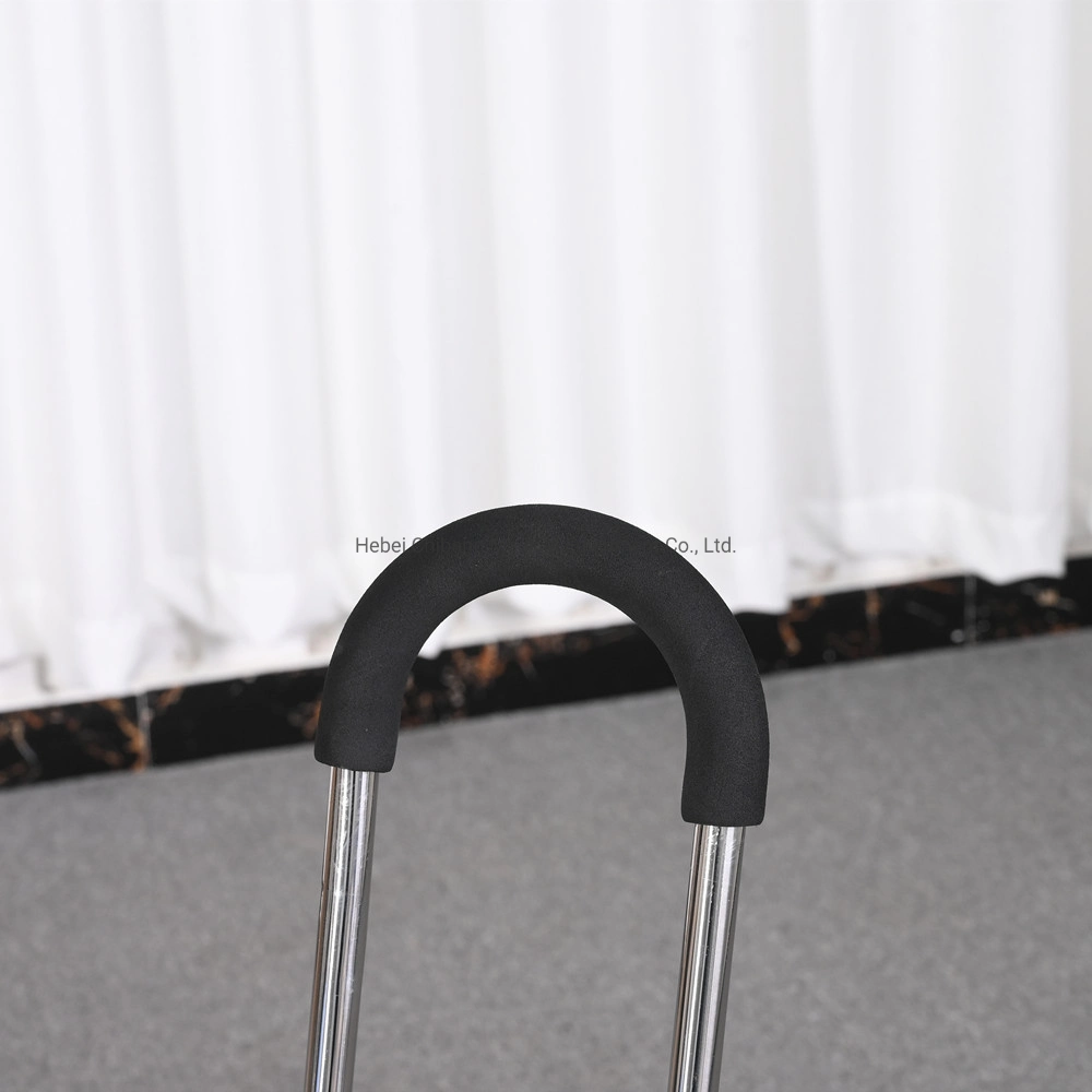 Walking Stick with Stool Portable for Disabled Hospital Home Care