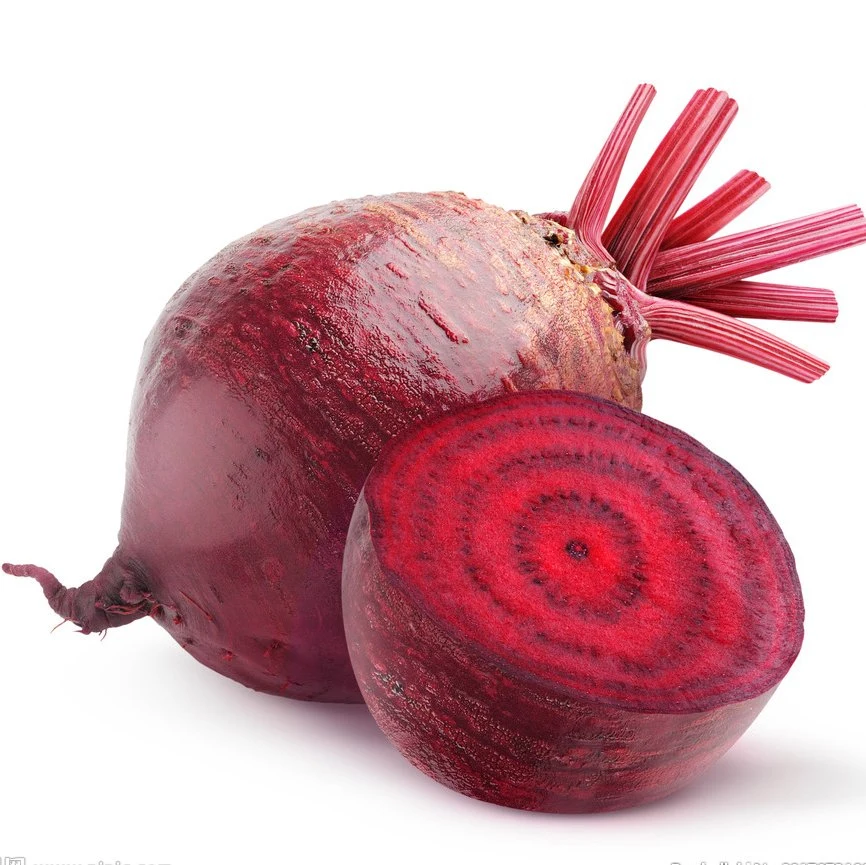 Natural Food Pigment Red Beet-Root Juice Powder for Anti-Cancer