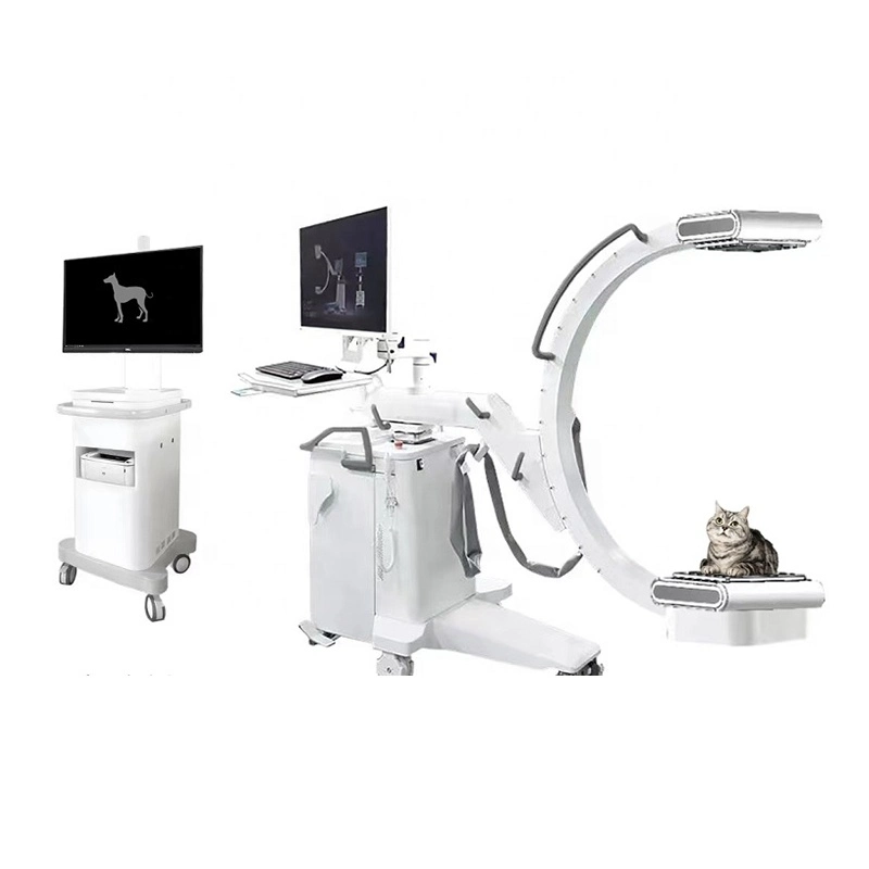 Portable 5kw Digital C Arm X Ray Machine