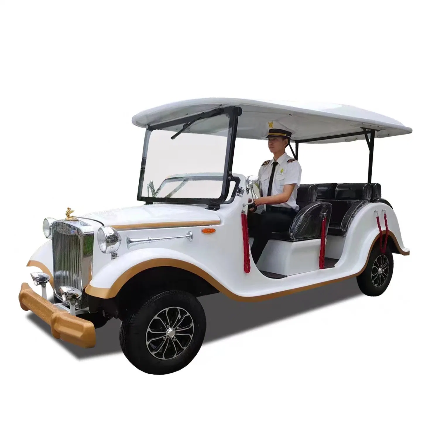 Batería eléctrica para el coche de gas 48V carros de litio del asiento trasero 2 rueda Gyro de empuje con litio remoto Cushions Playa 4 Carro de Golf
