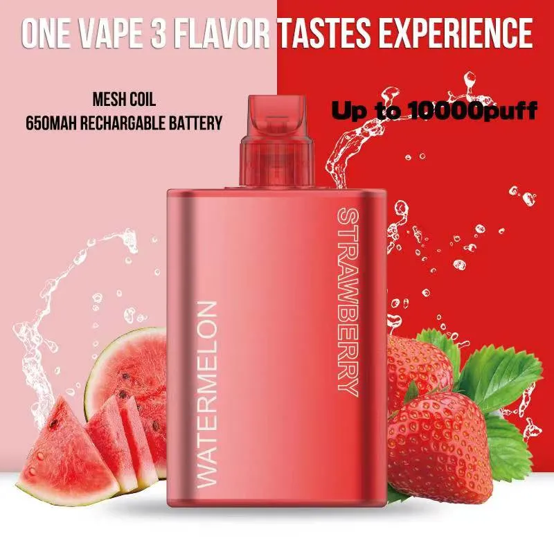 Shenzhen E Cigarette 10000 Puffs E CIG Shop VAPE Pen Precio etiqueta privada VAPE Mod Mesh bobina Vaporizer lápiz desechable Cartucho VAPE vacío de doble sabor