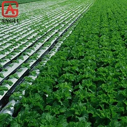 High quality/High cost performance  17g PP Non-Woven Fabric Weed Control