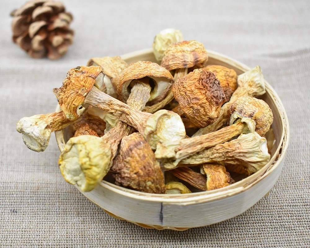 Grade d'un ensemble de champignons séchés organiques pour soupe poulet et nouilles