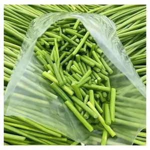 Chinese Normal New Crop of Fresh Young Green Garlic Shoot Shoots