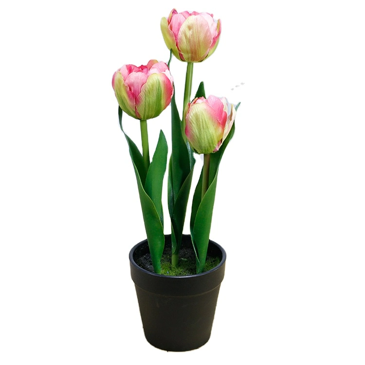 Floristry Supplies Home Decorative 3-Heads Flower Bonsai White Tulip Silk for Artificial Bonsai Mini Tulip Etimo Wholesale/Supplier Tulip