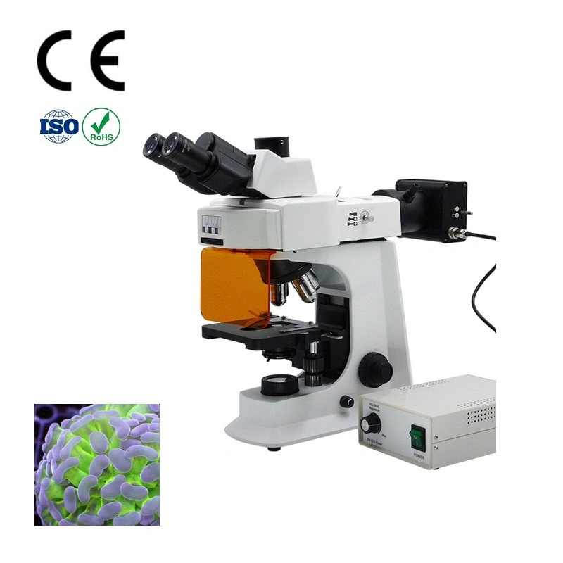 Buy Cheap Fluorescence Microscope in Original Factory