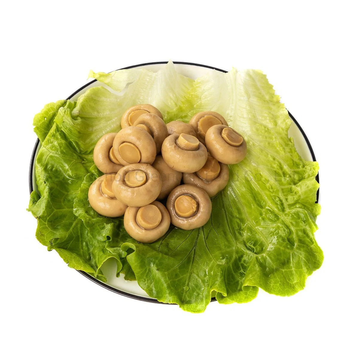 China Wholesale/Supplier Fresh Mushroom Whole 425g