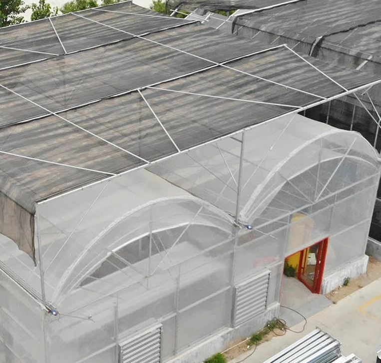 Structural Roofing Carbon Steel Xinhe Standard Packing Container Garden House Film Greenhouse