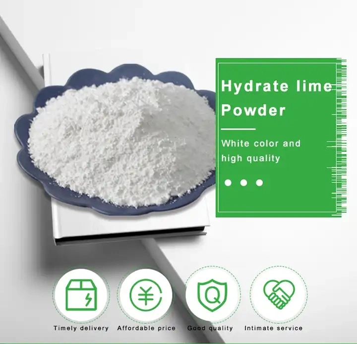 Factory Price Ca (OH) 2 Calcium Hydroxide/Slaked Lime/ Hydrate Lime for Food