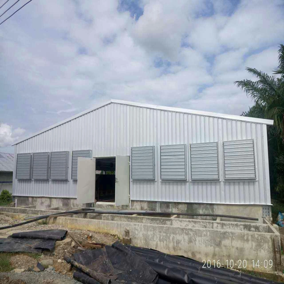 Chicken Broiler Poultry Farm Steel Structure Shed House for 15000 Chickens