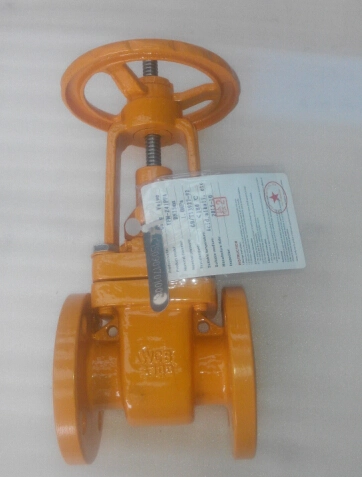 ANSI Flange Type PFA Lined Gate Valve Wcb