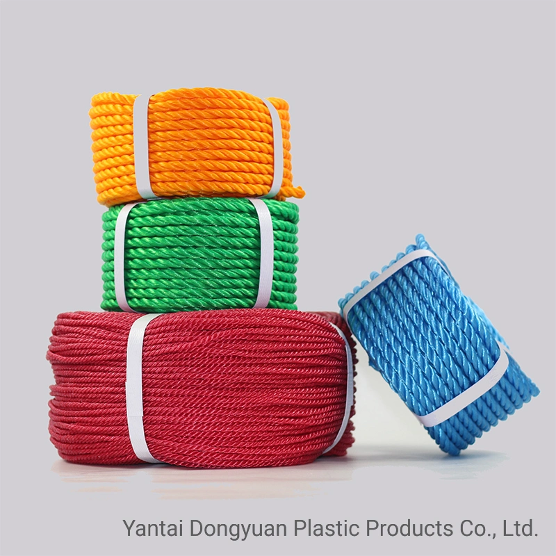 Chinese PE Poplyethylene Nylon Rope for Fishing Use