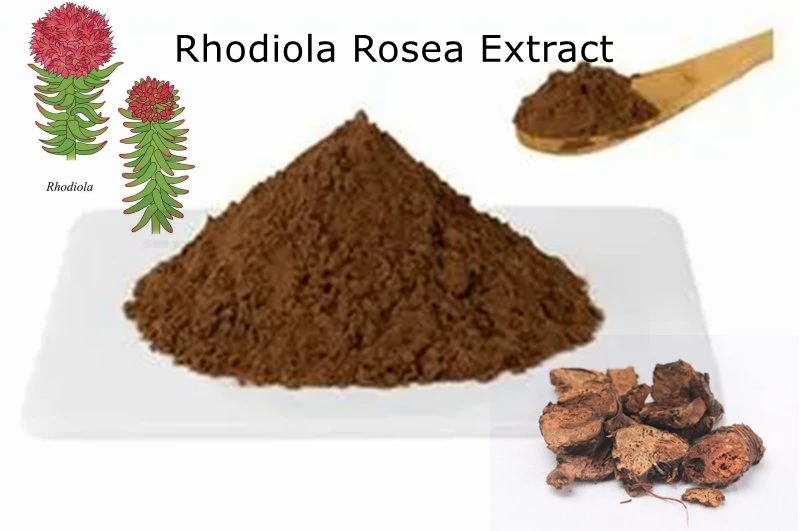 Rhodiola Extract (Salidrosides 3%) 100%Natural Low Price