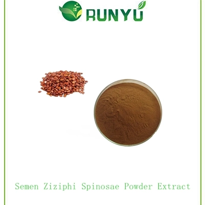 عالية الجودة 2 ٪ جوجوبسايد Ziziphi Seed Extract سمين زيزايفي سبينوساي مقتطف مسحوق