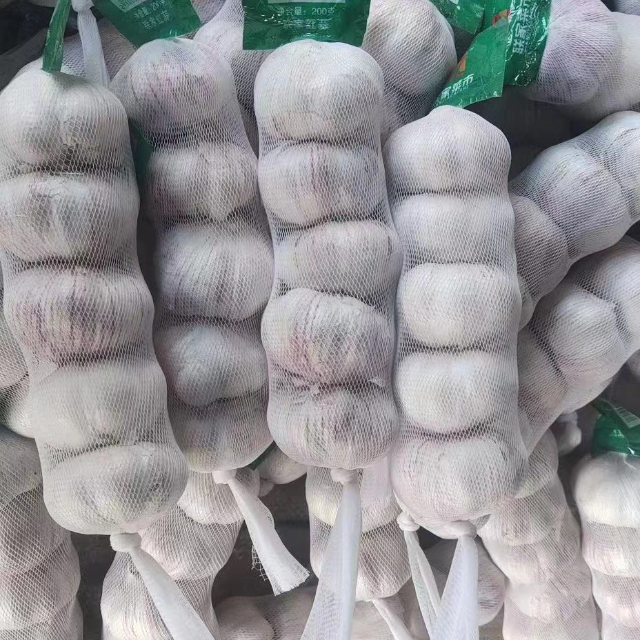 High quality/High cost performance  IQF Frozen Garlic Clove Peeled New Come Garlic Normal White