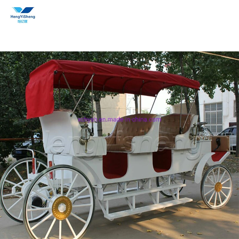 Special Transportation for Sightseeing Tourism Electric Carriage