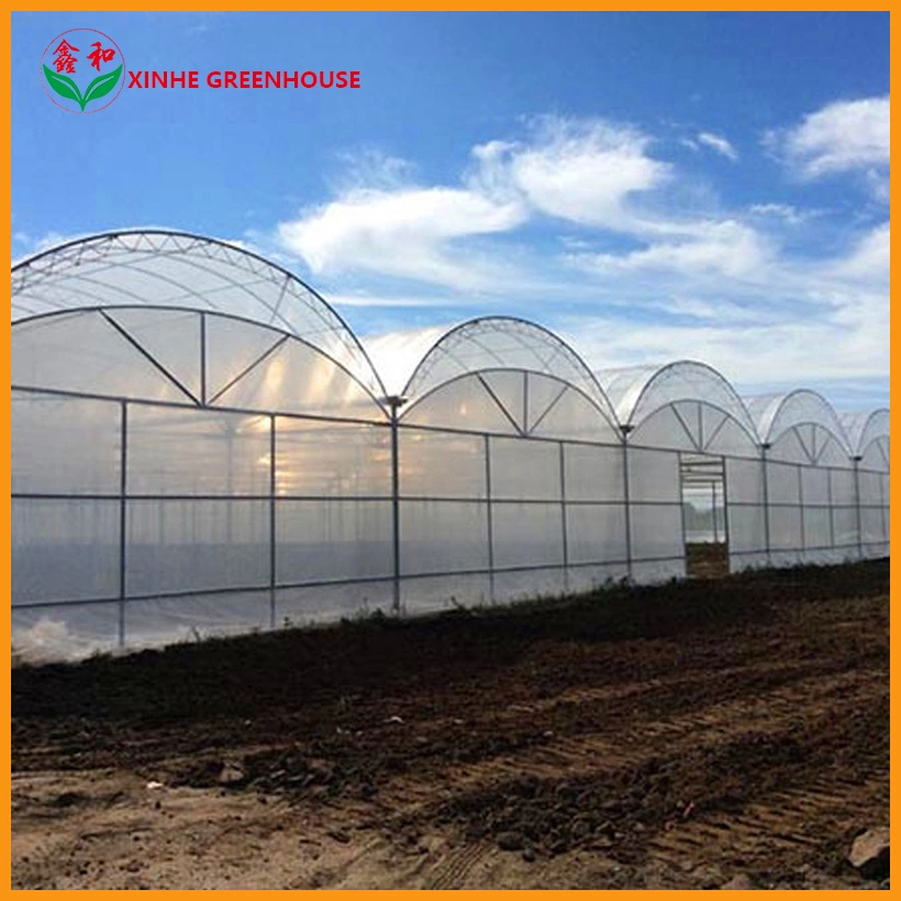Greenhouse with Sun Shading Galvanized Structure Po for Tomato Growing