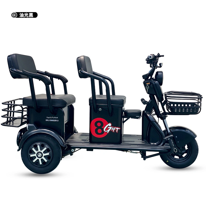 Three Wheel Electric Rickshaw with Two-Seat Tricycle for Entertainment