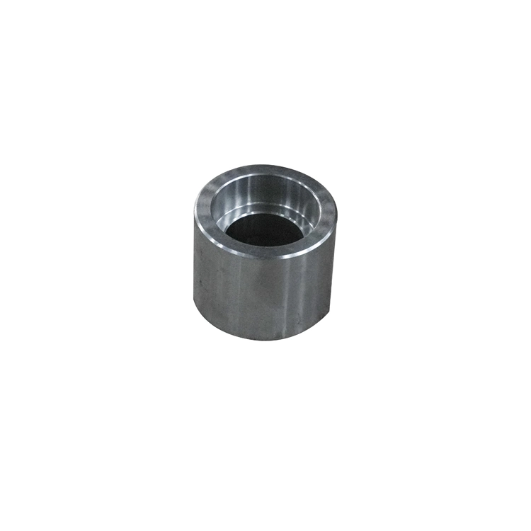 Welding Stainless Carbon Steel Forged/Casting Pipe Fitting Coupling