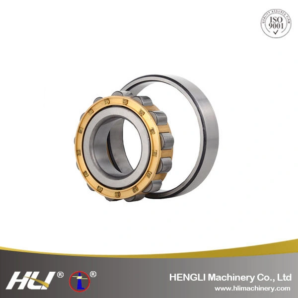 NJ2219EM  95mm *170 mm* 42 mm Cylindrical Roller Bearing for Sports Apparatus