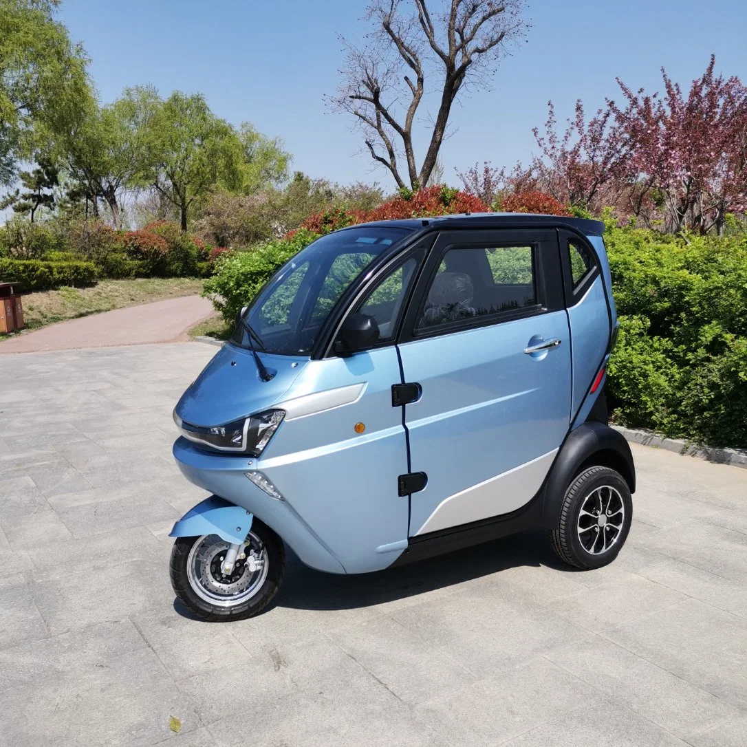 Barato 2 personas pasajero 1 plazas, Cuatro Adultos Wheeler batería coche eléctrico