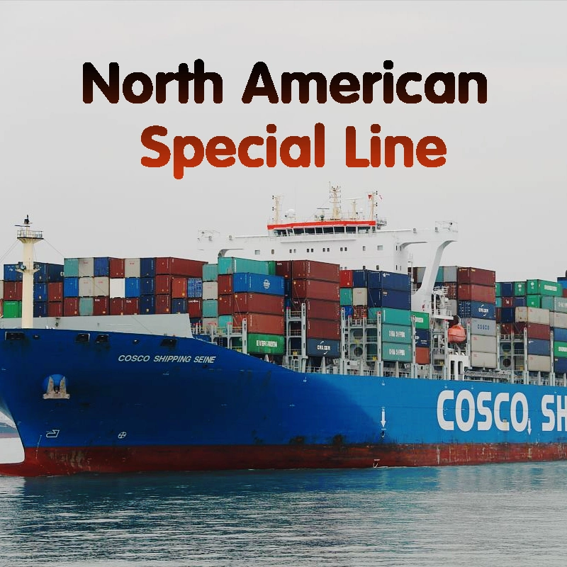 Drop Shipping E-Commerce Ocean Shipping Company to USA