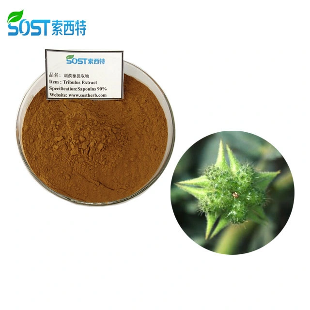 100% Natural Water Soluble Tribulus Terrestris Saponins Extract