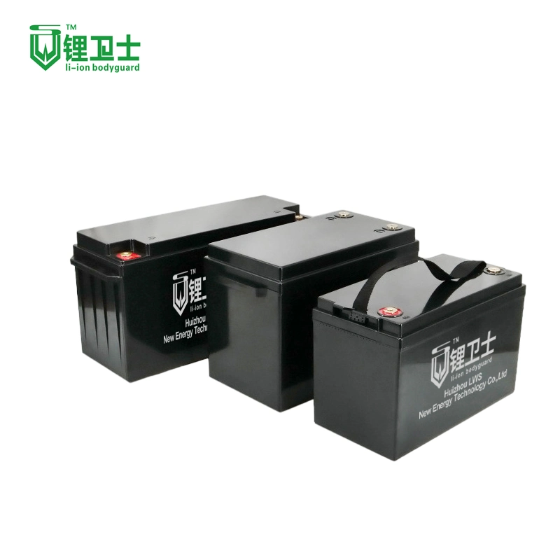 [Personnalisation de Base]Lws packs batterie de stockage solaire 12V 24Ah