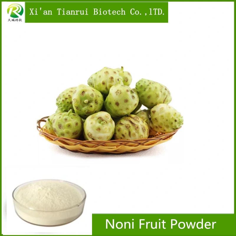 Factory Supply 100% Pure Natural Noni Fruit Powder