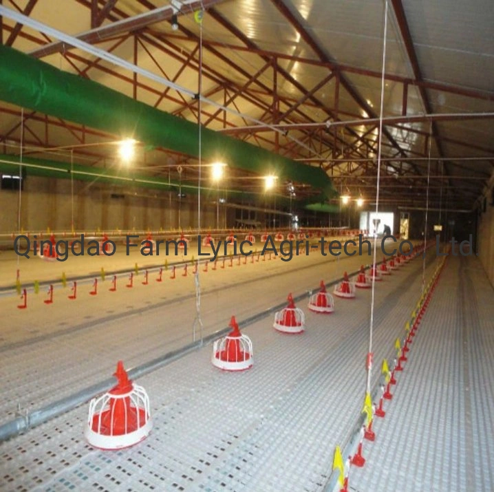 Popular Poultry Farm Supporting Equipment
