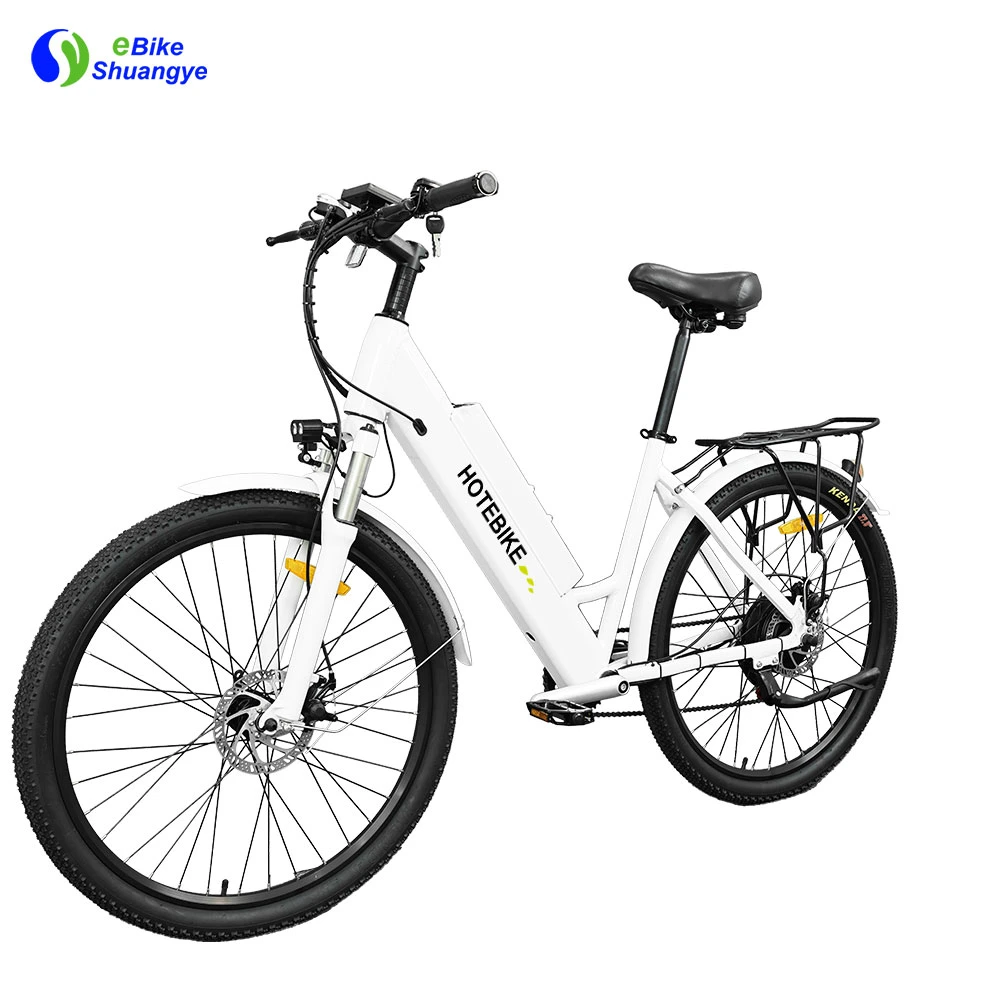 Fahrrad aus Aluminiumlegierung 36V 250W 350W 500W 750W 60km 25-45km/H 48V 1000W Elektro-Fahrräder für Erwachsene