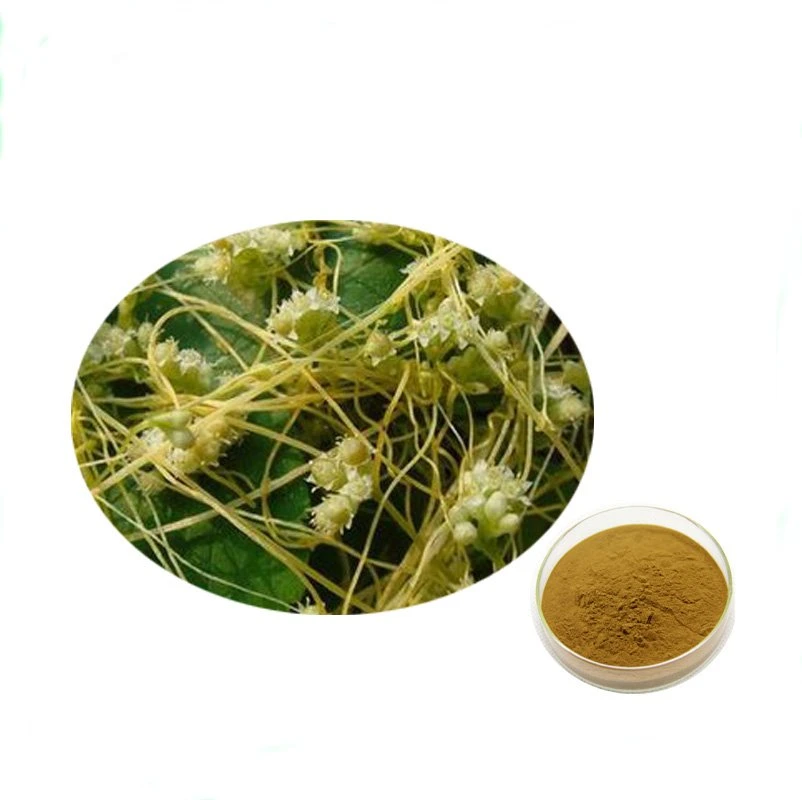 Extracto de hierbas naturales Extracto de semillas de Dodder chino / Semen Cuscutae extraer 20: 1